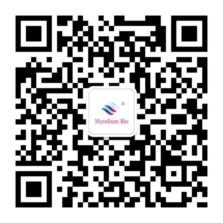 service qrcode